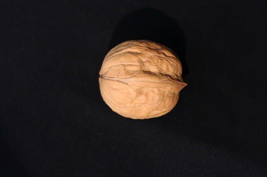 核桃