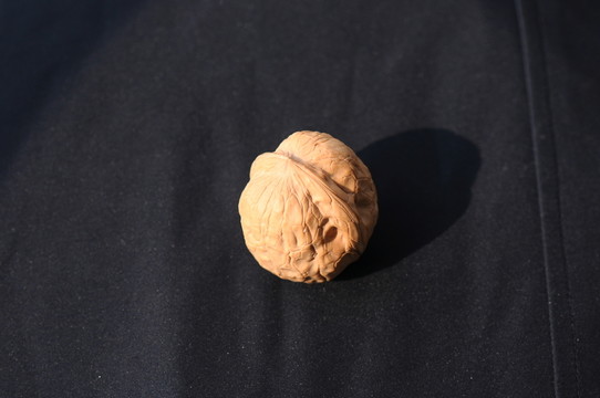 核桃