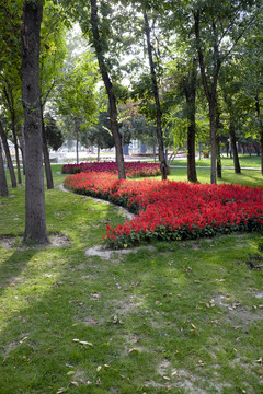 公園