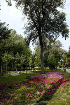 公園綠化