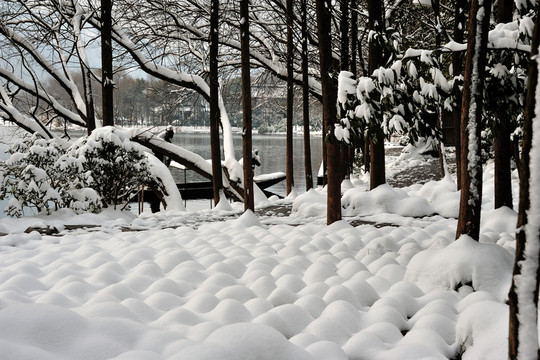 西湖 楊公堤 茅家埠 雪景