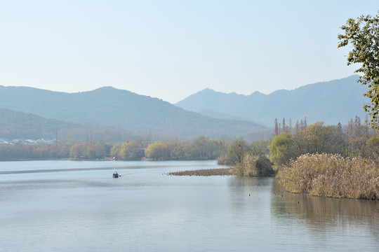 西湖 楊公堤 秋季 湖泊