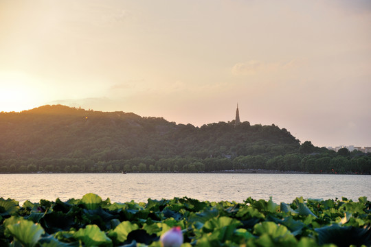 西湖 湖濱公園 傍晚 夏季