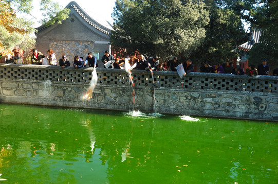 北京大覺(jué)寺放生池
