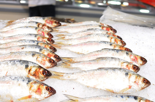 超市冷鮮魚