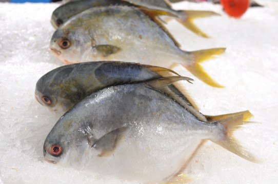 超市冷鮮魚