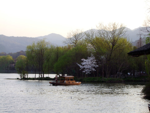 西湖 楊公堤 春季 夕陽(yáng) 游船