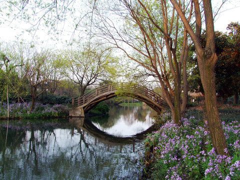 杭州 西湖 楊公堤 春季 河流（非高清）