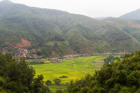 田野風(fēng)光