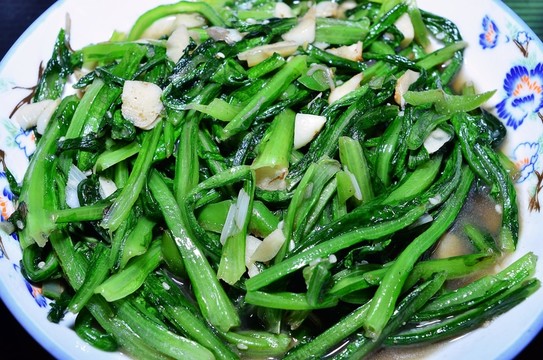 西安世園會(huì)