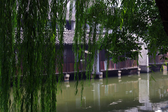 烏鎮(zhèn)
