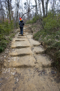 棲霞山 南京 道路 樹(shù)木 山坡