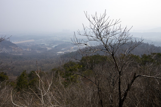 棲霞山 南京 樹(shù)木 山坡 古跡
