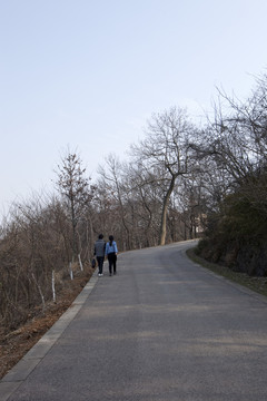 棲霞山 南京 道路 樹木 山坡