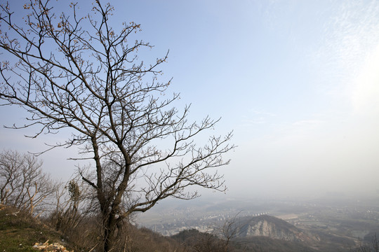 棲霞山