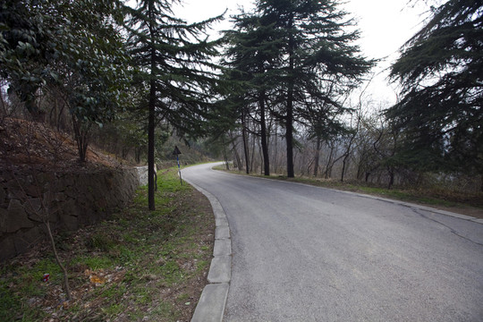 棲霞山 南京 古跡 道路 樹(shù)木