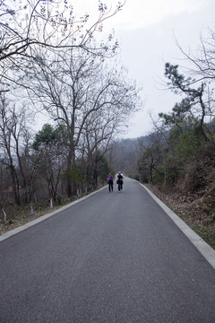 棲霞山 南京 古跡 道路 樹木