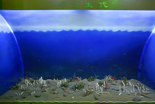 生態(tài)系統(tǒng)流變?cè)绻派? loading=