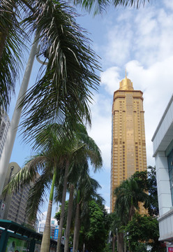 深圳建筑群 羅湖商務中心