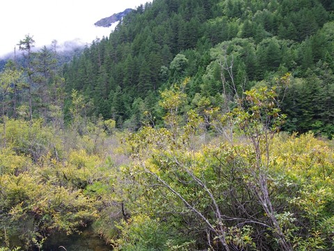 九寨溝