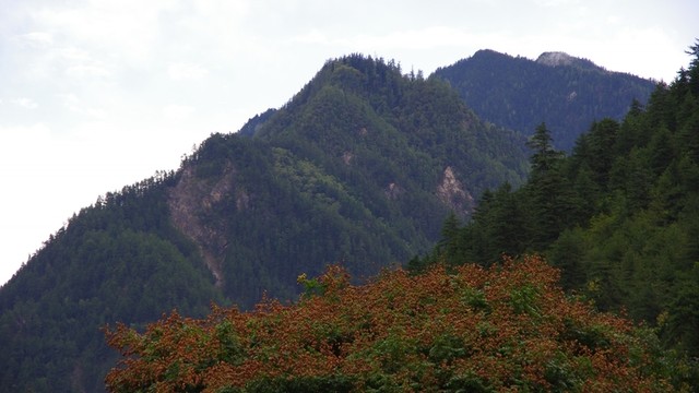 九寨溝