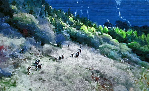 香格里拉