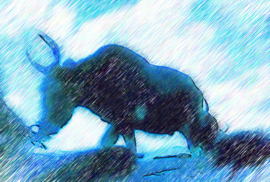 裝飾畫