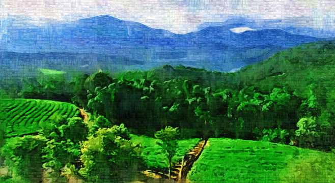 日月潭風(fēng)景