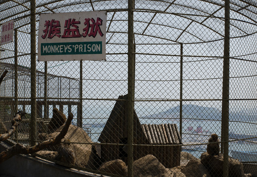 猴監(jiān)獄