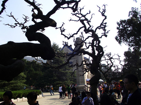 中山陵 天下為公