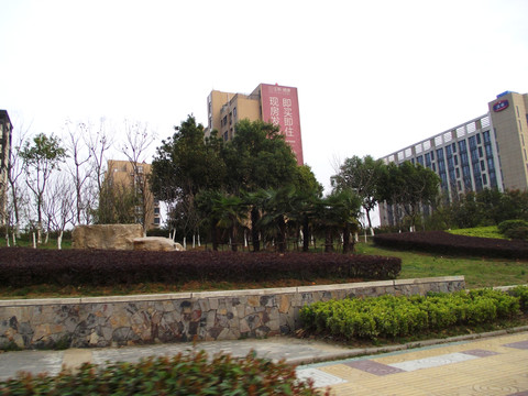 南京雨花街景