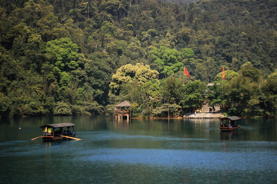 廣東肇慶鼎湖山