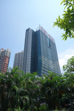 深圳建筑群