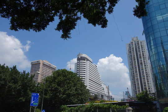 深圳建筑群