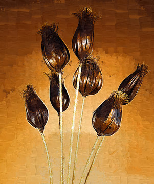 藝術(shù)干花