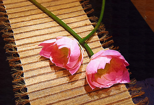 荷花