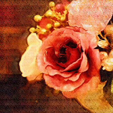 牡丹花
