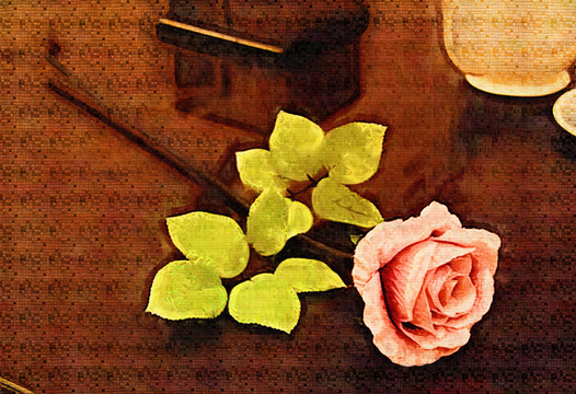 玫瑰花