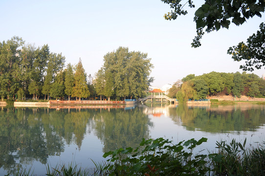 公園景觀 合肥瑤海公園