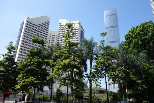 深圳建筑群