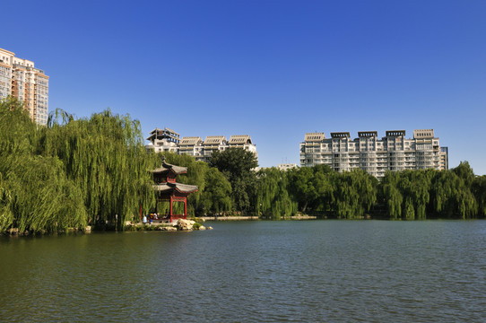 北京紫竹院景色