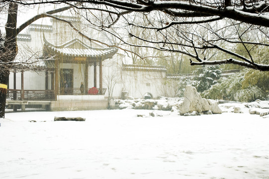 北京紫竹院公園雪景