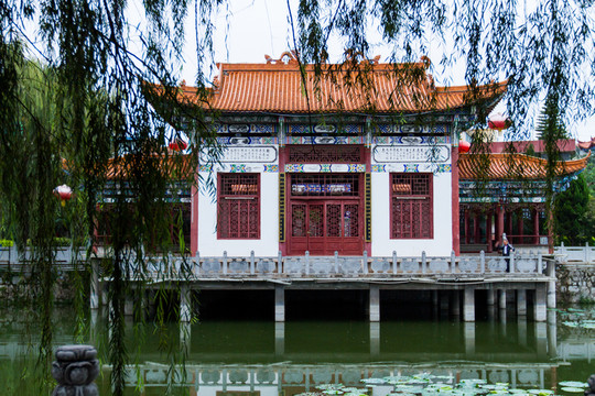 蓮湖公園 垂柳 樓臺(tái)