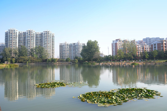 公園景觀 合肥瑤海公園