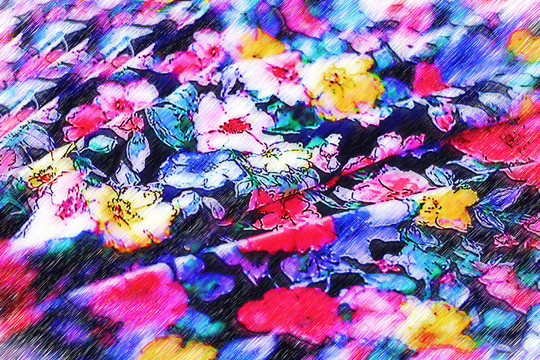 七彩花紋