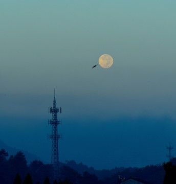 蓝色调 月亮 圆月 彩云追月