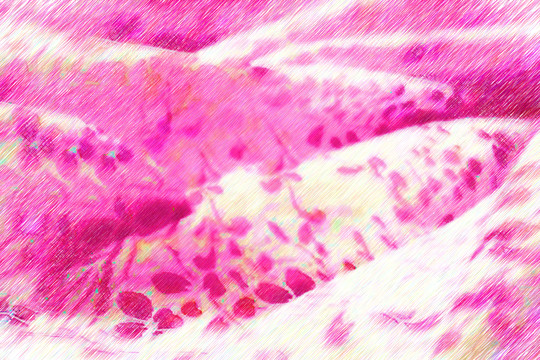 花紋