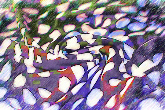 花紋