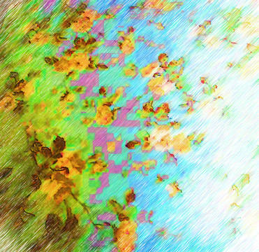 花紋