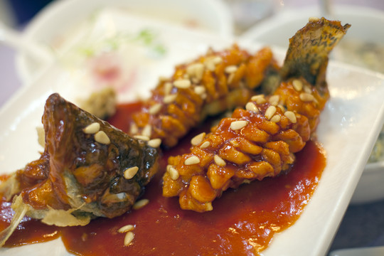 松鼠桂魚